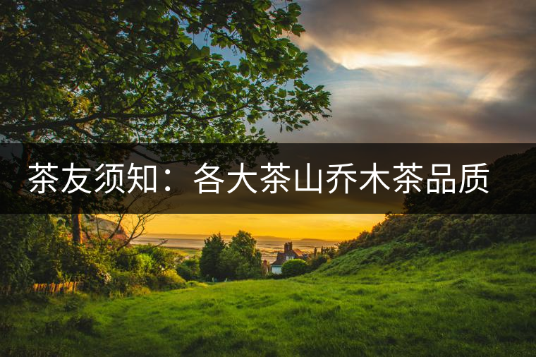 茶友須知:各大茶山喬木茶品質(zhì)特征 茶友須知:各大茶山喬木茶品質(zhì)特征