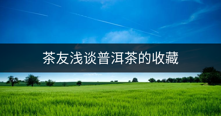 茶友淺談普洱茶的收藏 茶友淺談普洱茶的收藏