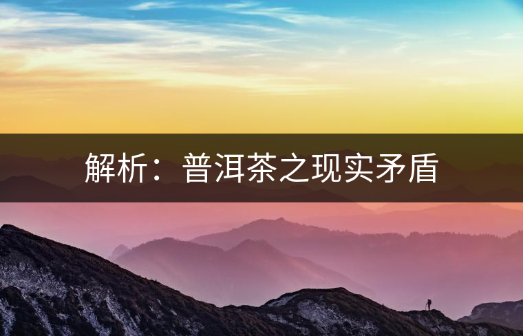 解析:普洱茶之現(xiàn)實(shí)矛盾 解析:普洱茶之現(xiàn)實(shí)矛盾