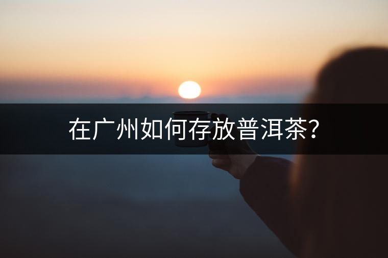 在廣州如何存放普洱茶？
