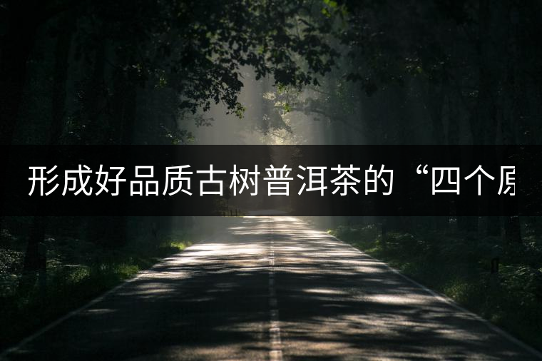 形成好品質(zhì)古樹普洱茶的“四個原則”