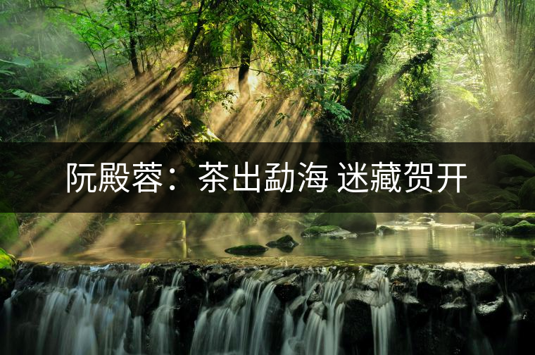 阮殿蓉:茶出勐海 迷藏賀開 阮殿蓉:茶出勐海 迷藏賀開