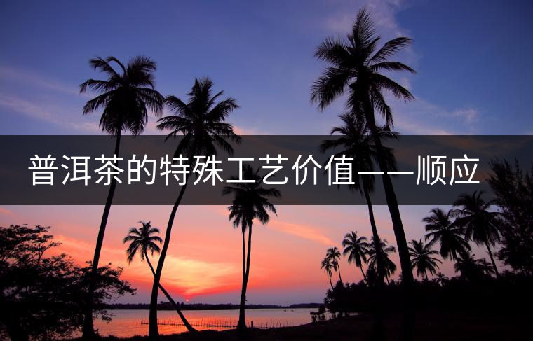 普洱茶的特殊工藝價值——順應自然的啟示 普洱茶的特殊工藝價值——順應自然的啟示
