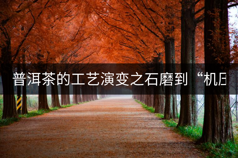 普洱茶的工藝演變之石磨到“機(jī)壓” 普洱茶的工藝演變之石磨到“機(jī)壓”