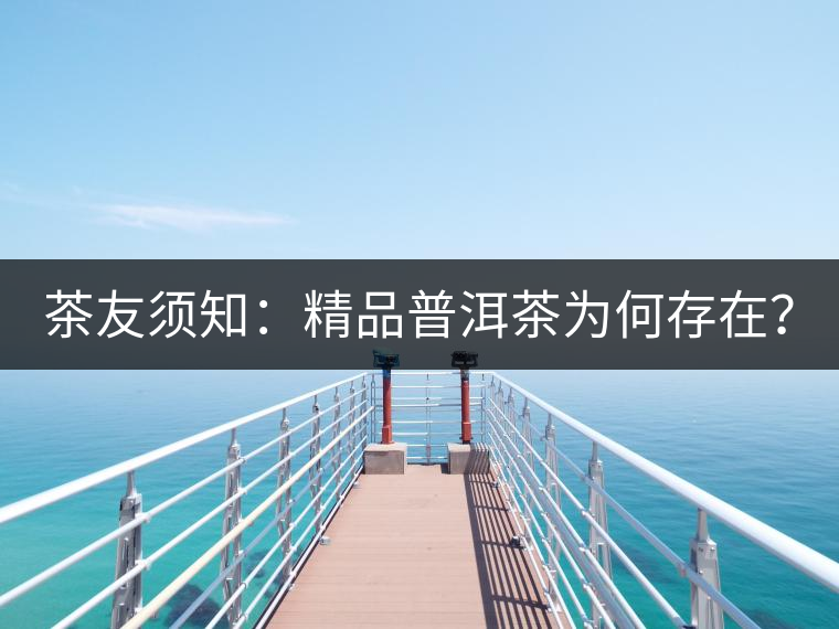 茶友須知：精品普洱茶為何存在？