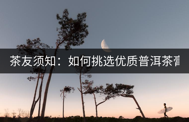 茶友須知：如何挑選優(yōu)質(zhì)普洱茶膏？