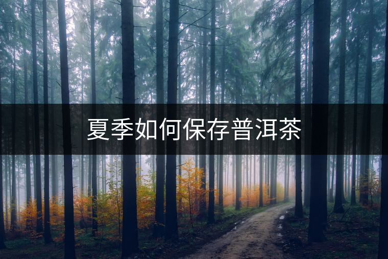 夏季如何保存普洱茶 夏季如何保存普洱茶