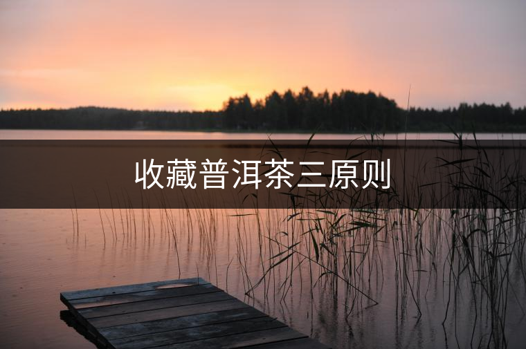 收藏普洱茶三原則 收藏普洱茶三原則