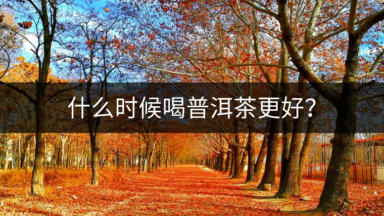 什么時(shí)候喝普洱茶更好？