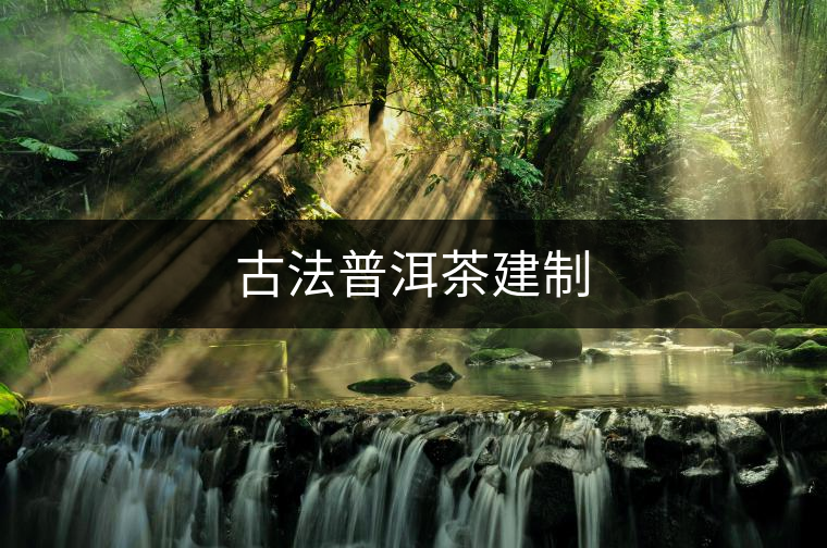 古法普洱茶建制 古法普洱茶建制