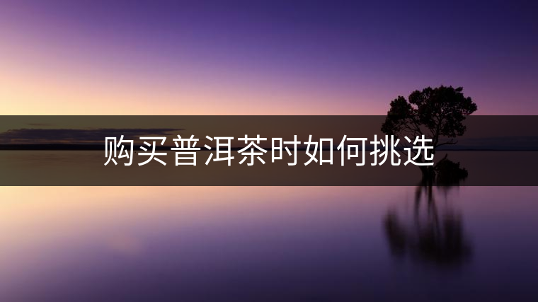 購買普洱茶時如何挑選 購買普洱茶時如何挑選