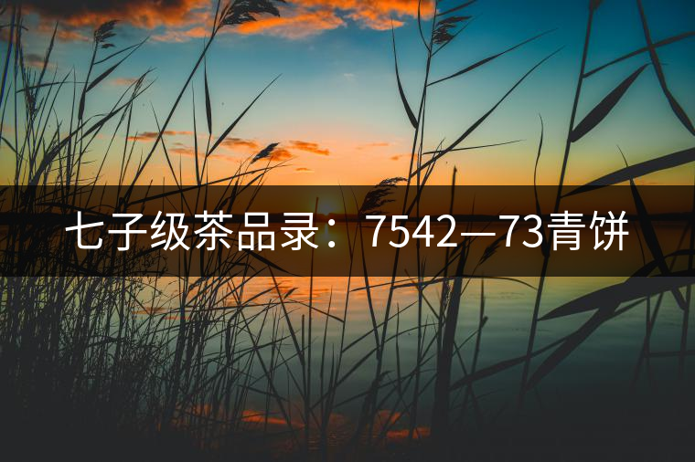 七子級(jí)茶品錄:7542—73青餅 七子級(jí)茶品錄:7542—73青餅