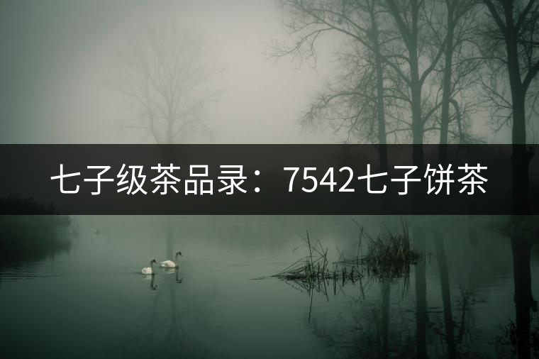 七子級茶品錄：7542七子餅茶