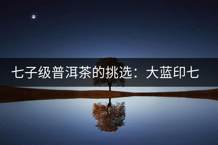 七子級(jí)普洱茶的挑選:大藍(lán)印七子餅 七子級(jí)普洱茶的挑選:大藍(lán)印七子餅