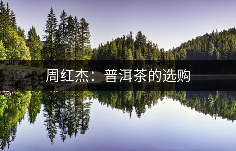 周紅杰:普洱茶的選購(gòu) 周紅杰:普洱茶的選購(gòu)