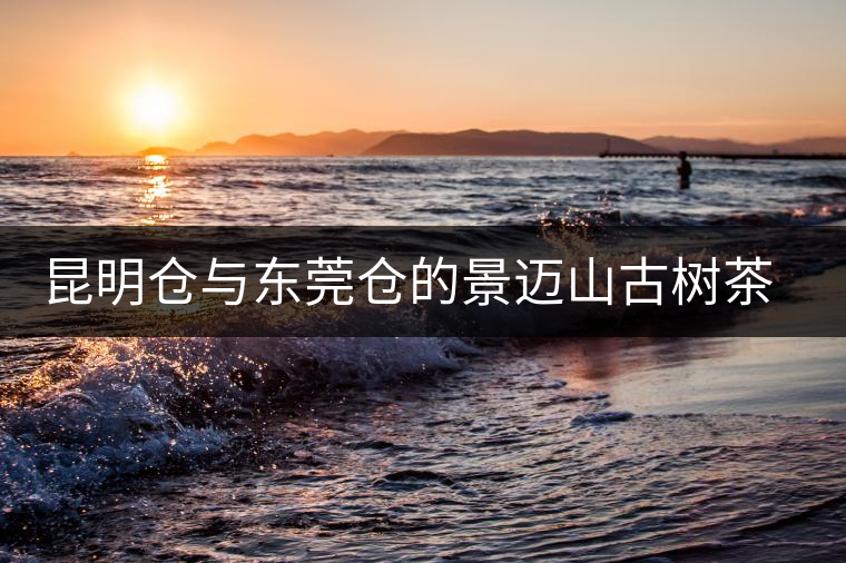 昆明倉與東莞倉的景邁山古樹茶對比沖泡 昆明倉與東莞倉的景邁山古樹茶對比沖泡