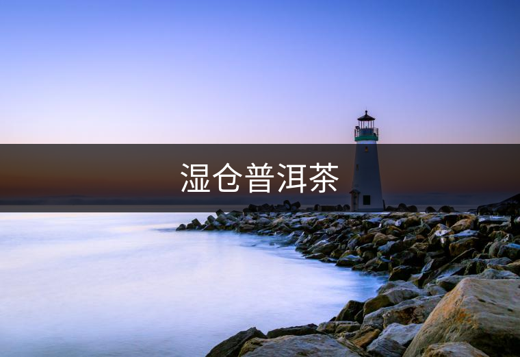 濕倉普洱茶 濕倉普洱茶