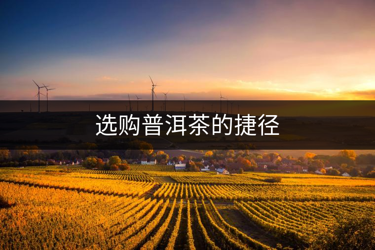 選購(gòu)普洱茶的捷徑 選購(gòu)普洱茶的捷徑