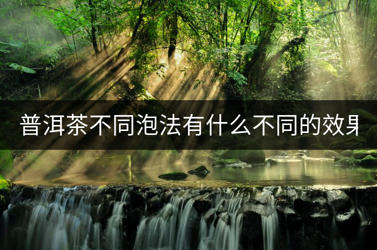 普洱茶不同泡法有什么不同的效果？