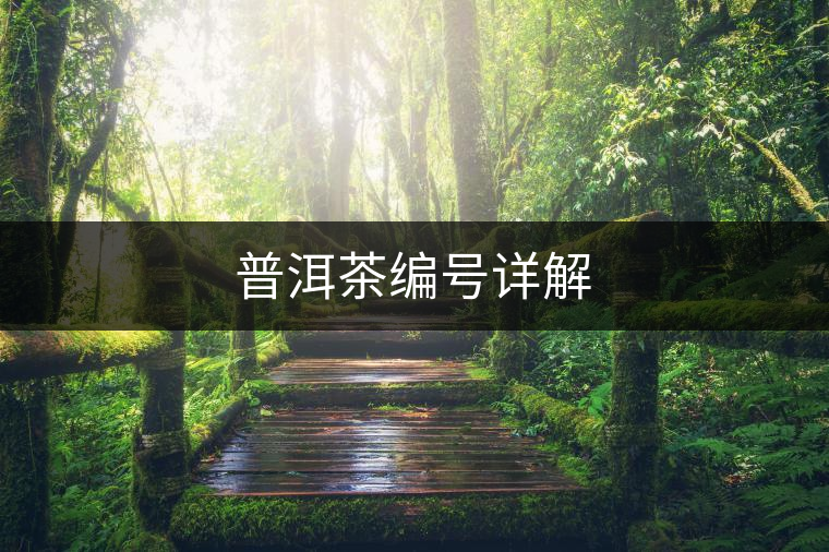 普洱茶編號(hào)詳解 普洱茶編號(hào)詳解