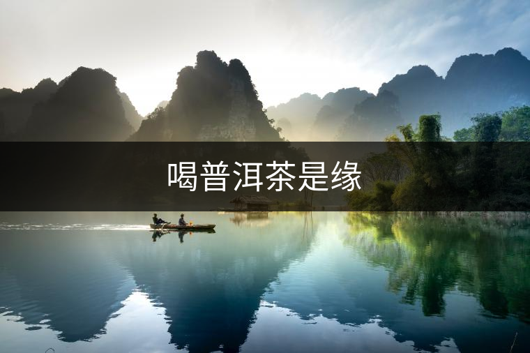 喝普洱茶是緣 喝普洱茶是緣
