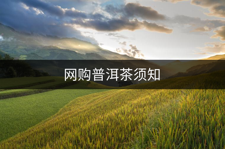 網購普洱茶須知