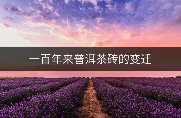 一百年來普洱茶磚的變遷 一百年來普洱茶磚的變遷