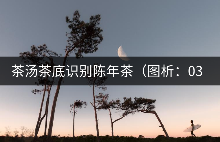 茶湯茶底識(shí)別陳年茶(圖析:03年易武餅) 茶湯茶底識(shí)別陳年茶(圖析:03年易武餅)