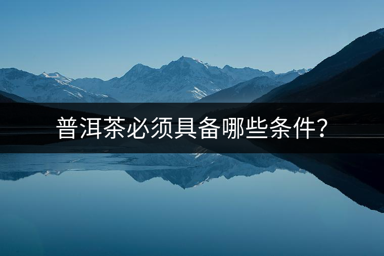 普洱茶必須具備哪些條件？