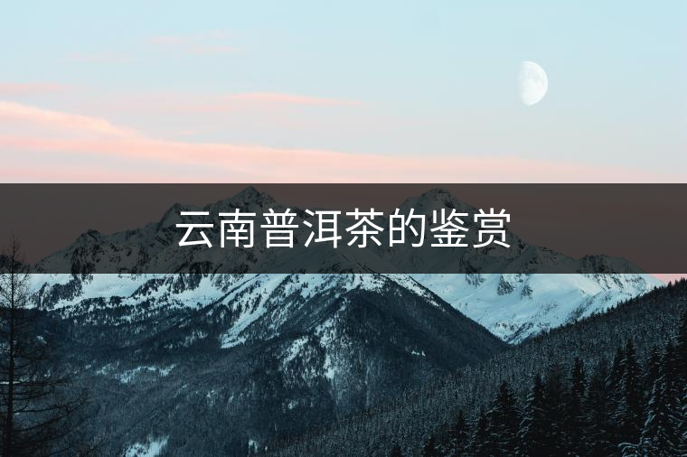 云南普洱茶的鑒賞 云南普洱茶的鑒賞