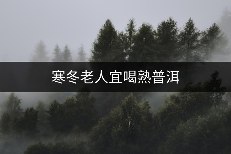 寒冬老人宜喝熟普洱 寒冬老人宜喝熟普洱