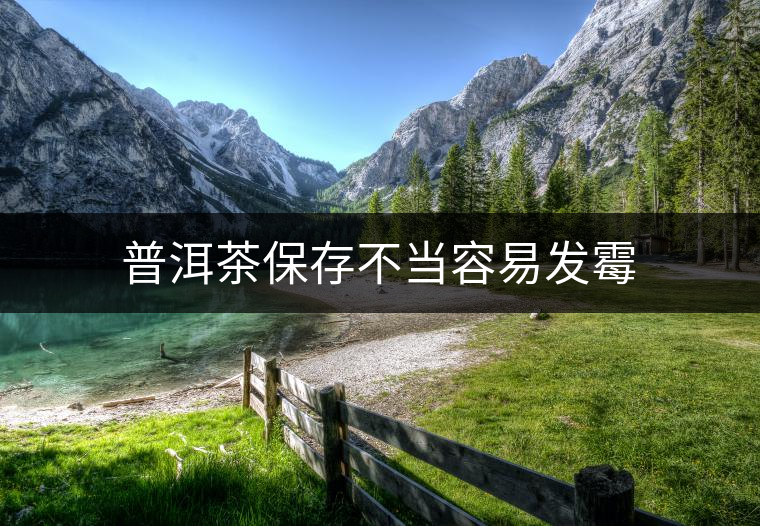 普洱茶保存不當(dāng)容易發(fā)霉 普洱茶保存不當(dāng)容易發(fā)霉
