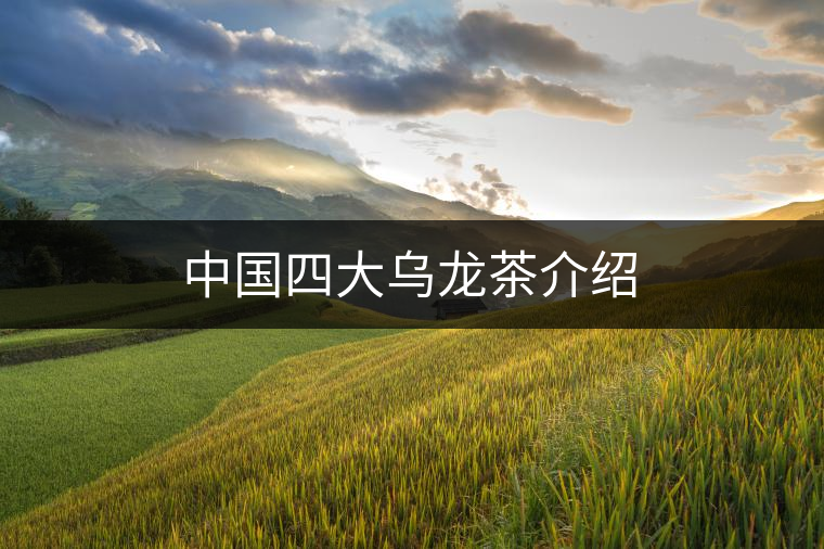 中國(guó)四大烏龍茶介紹