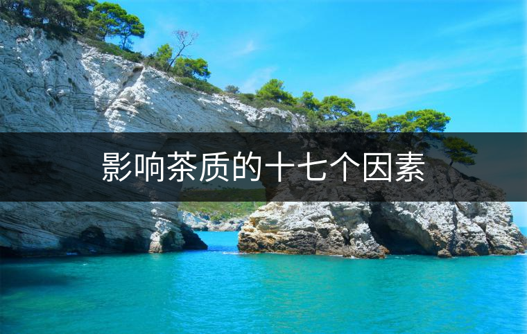 影響茶質(zhì)的十七個(gè)因素