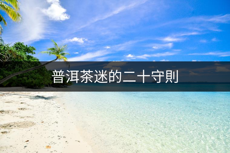 普洱茶迷的二十守則 普洱茶迷的二十守則