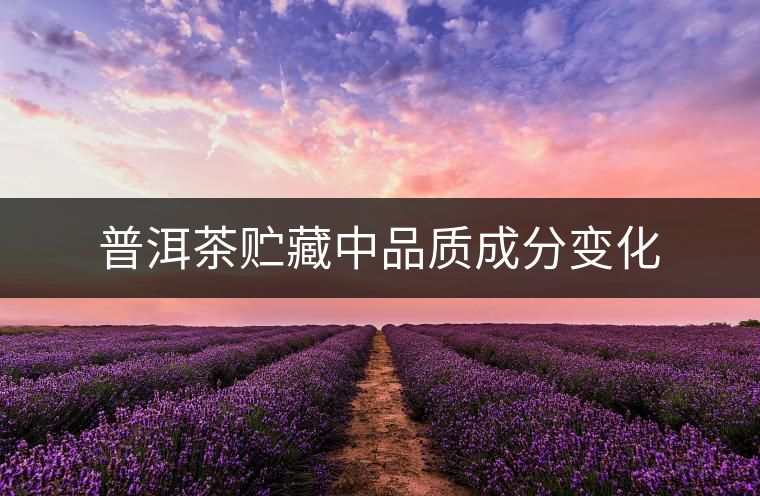 普洱茶貯藏中品質(zhì)成分變化 普洱茶貯藏中品質(zhì)成分變化