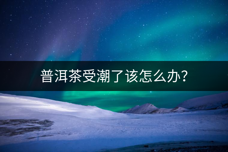 普洱茶受潮了該怎么辦？