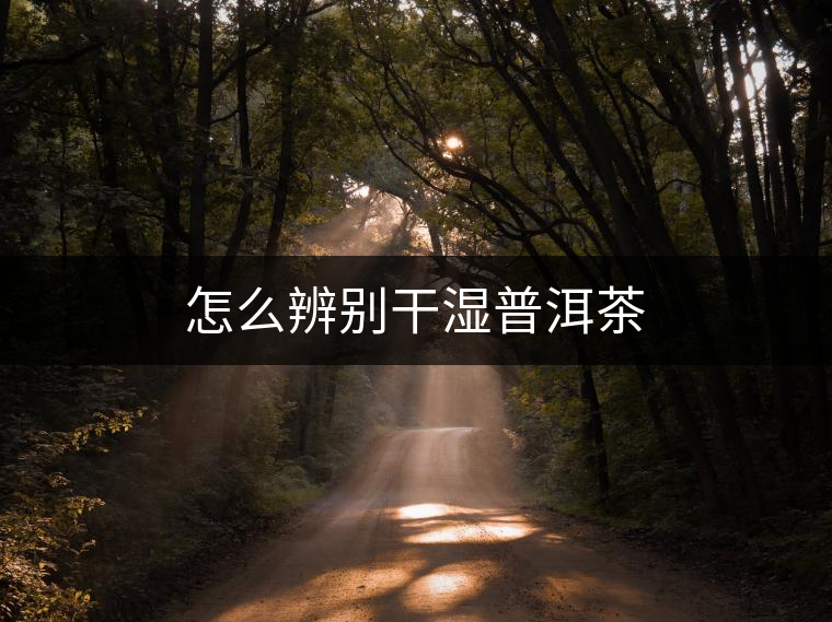 怎么辨別干濕普洱茶 怎么辨別干濕普洱茶