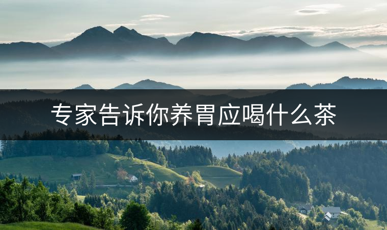 專家告訴你養(yǎng)胃應(yīng)喝什么茶 專家告訴你養(yǎng)胃應(yīng)喝什么茶