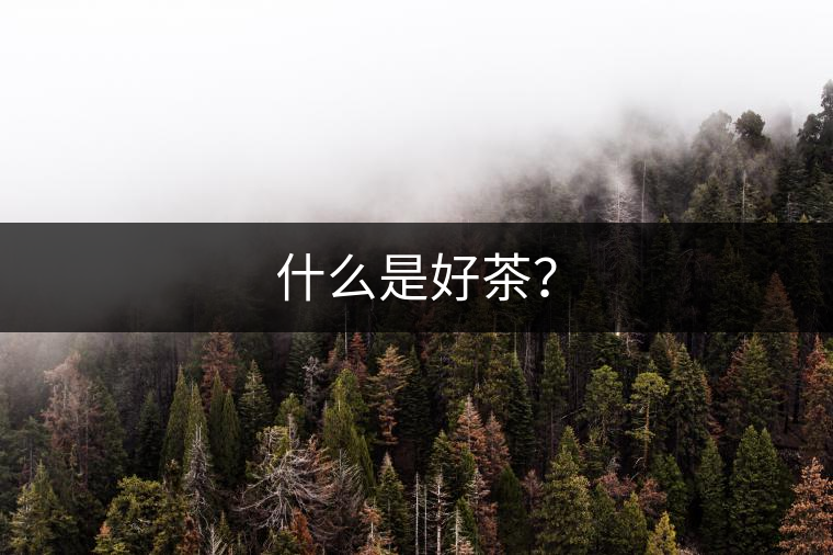 什么是好茶？