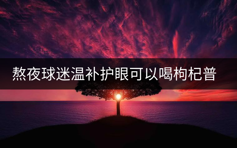 熬夜球迷溫補護眼可以喝枸杞普洱茶 熬夜球迷溫補護眼可以喝枸杞普洱茶