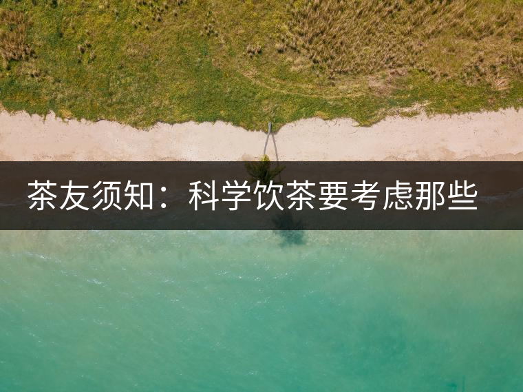 茶友須知：科學飲茶要考慮那些因素？