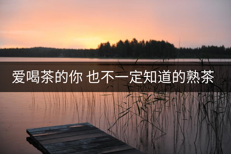 愛喝茶的你 也不一定知道的熟茶知識！