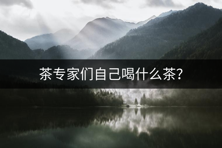 茶專家們自己喝什么茶？