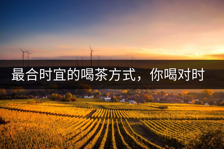 最合時宜的喝茶方式，你喝對時間了嗎？
