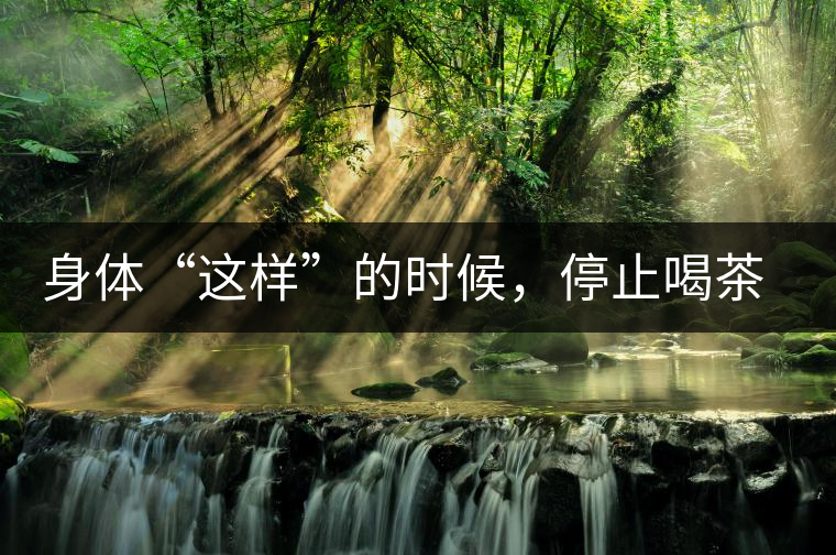 身體“這樣”的時(shí)候，停止喝茶！當(dāng)心好茶變“毒藥”！