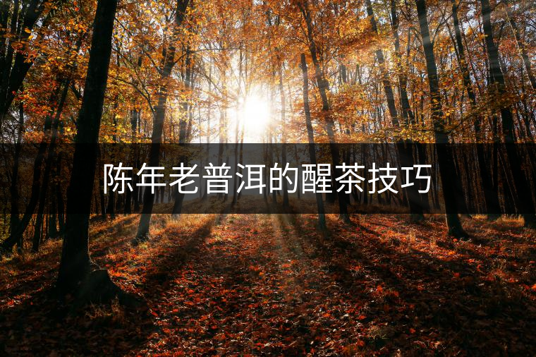 陳年老普洱的醒茶技巧 陳年老普洱的醒茶技巧