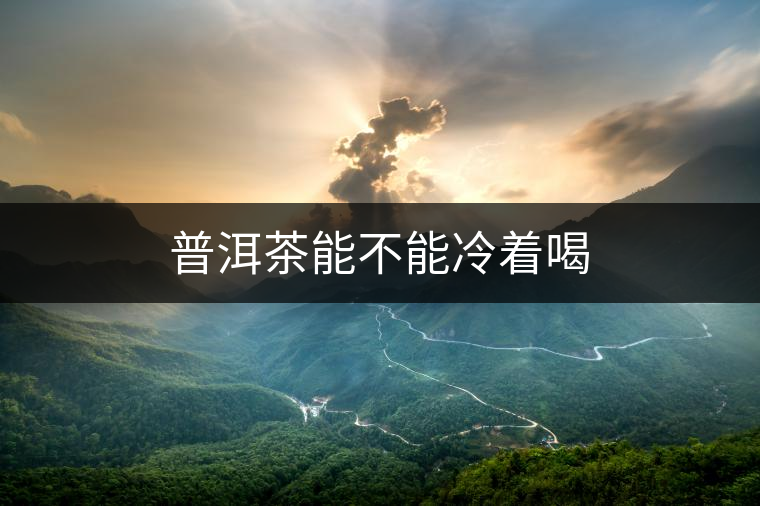 普洱茶能不能冷著喝 普洱茶能不能冷著喝