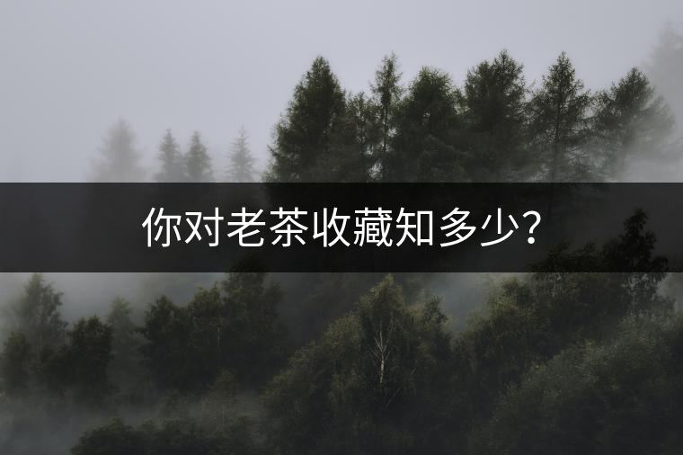 你對老茶收藏知多少？