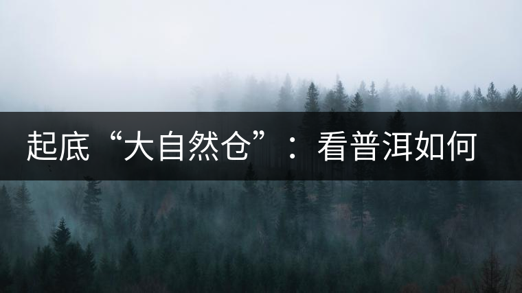 起底“大自然倉”:看普洱如何塑造倉儲新高地 起底“大自然倉”:看普洱如何塑造倉儲新高地